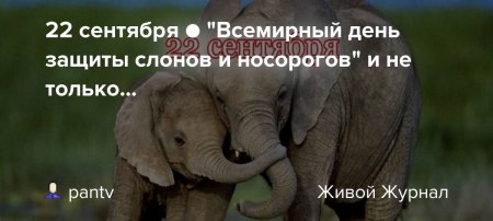 День защиты слонов