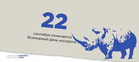 Всемирный день носорога