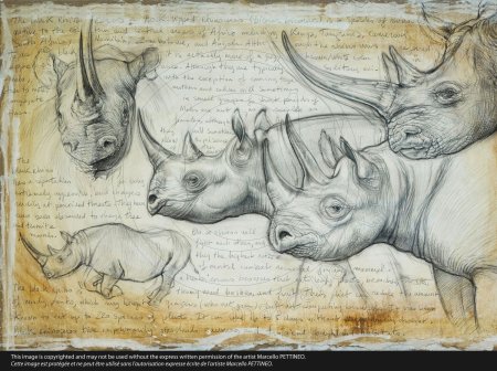 Marcello Pettineo картины