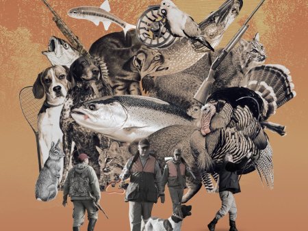 Коллаж охота и рыбалка