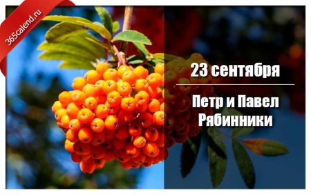 Осенний пётр и Павел — рябинники.