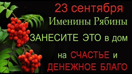 23 Сентября рябина