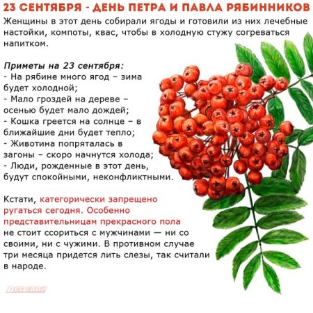 23 Сентября день рябины
