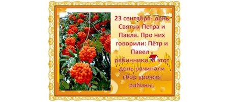 Петр и Павел рябинники 23 сентября