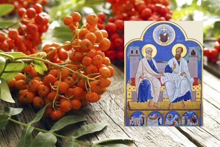 Петр и Павел рябинники 23