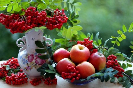 Петр и Павел рябинники 23 сентября