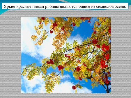 День рябины в сентябре