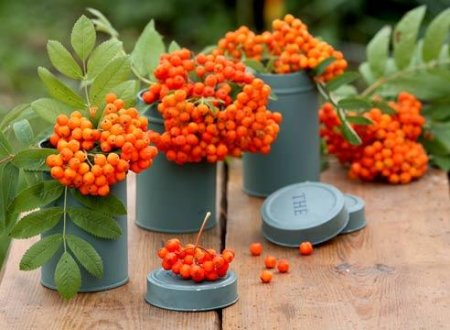 Петр и Павел рябинники 23 сентября