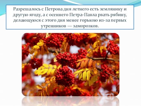 Осенний пётр и Павел — рябинники.
