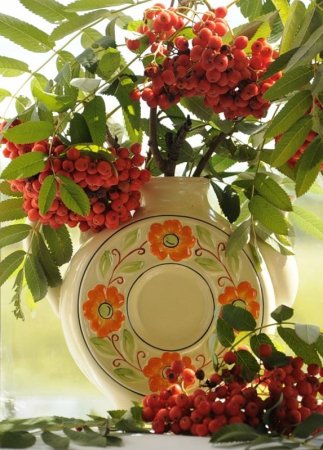 Осенний пётр и Павел — рябинники.