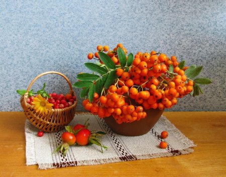 Рябиновый праздник