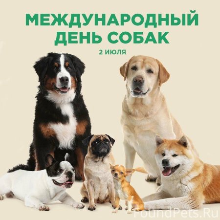 Международный день Солак