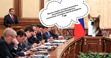 День собак в политике 23 сентября