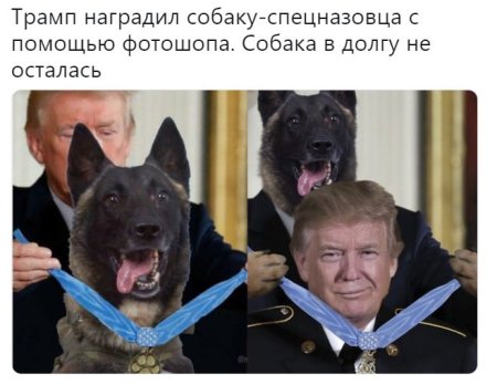 Президент Трамп и собака
