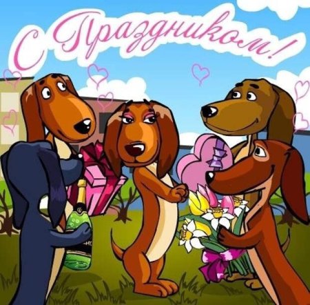 Международный день собак