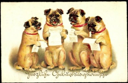 Открытки с собаками мопсы