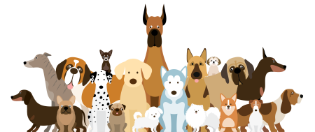 Разведение собак фон для презентации