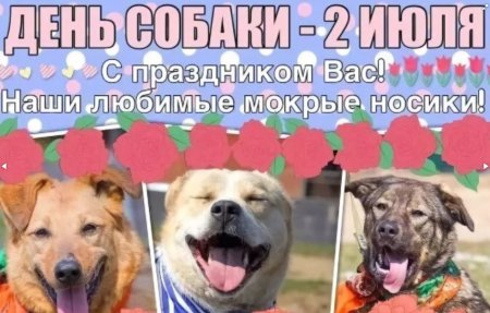 2 Июля день собак