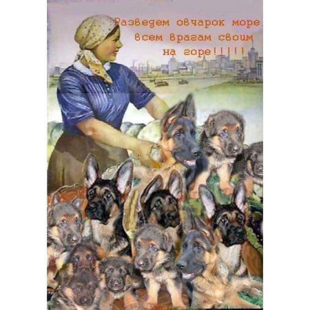 С днем рождения овчарка