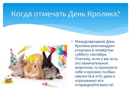 Международный день кролика
