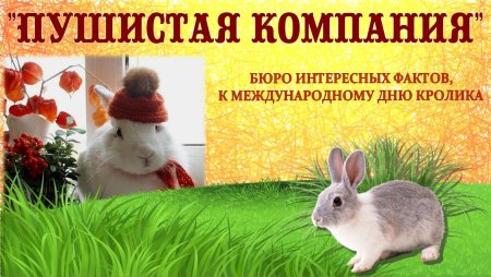 Международный день кролика