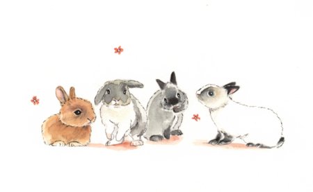 Rabbit Day