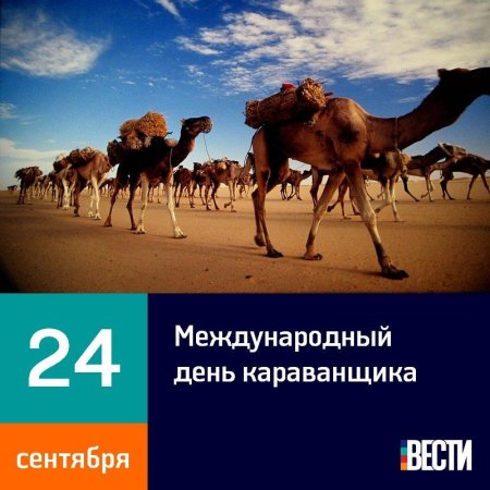 Международный день Кара