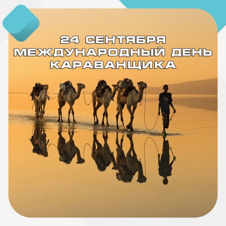 Африка сахара верблюд