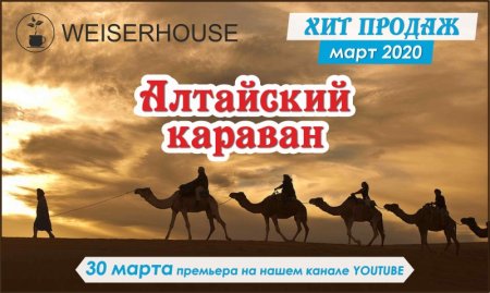 День караванщика