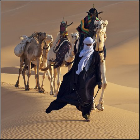 Караван бедуинов в пустыне