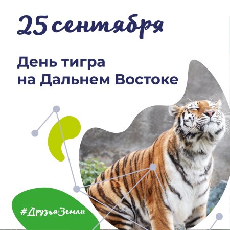 День тигра на Дальнем востоке