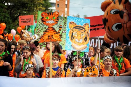 Амурский тигр праздник во Владивостоке