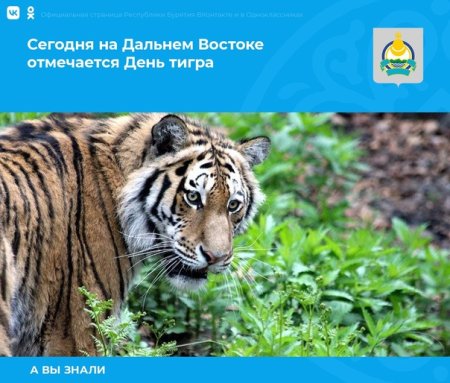 26 Сентября день тигра