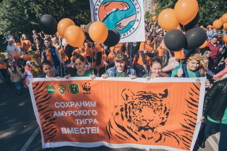 День тигра на Дальнем востоке