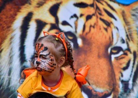 День тигра на Дальнем востоке