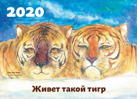 Дальневосточный тигр рисунок