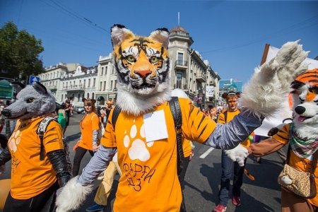 День тигра Владивосток