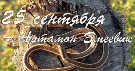 Народный календарь 25 сентября Артамон змеевик
