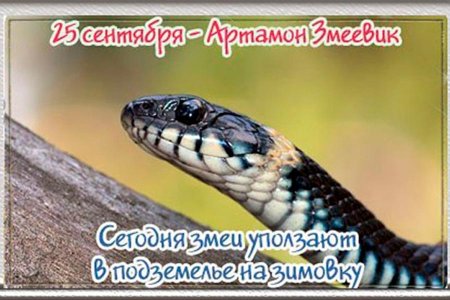 Народный праздник Артамон змеевик