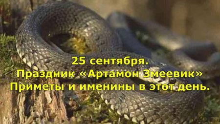Артамон змеевик 25 сентября