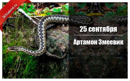 Народный календарь 25 сентября Артамон змеевик