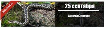 Артамонов день (Артамон змеевик)