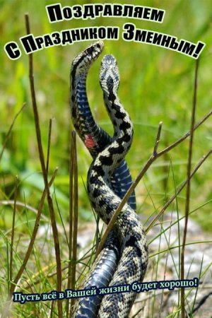 День змей