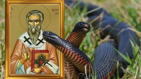 Артамон змеевик