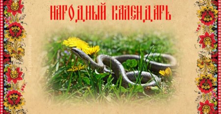 Змеиный праздник 12 июня открытки