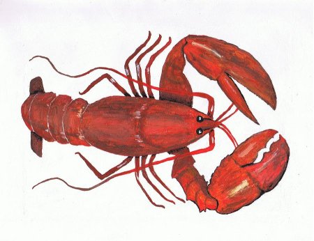 Иракский лобстер