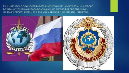 Центральное национальное бюро Интерпола структура