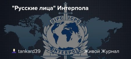 Интерпол символика