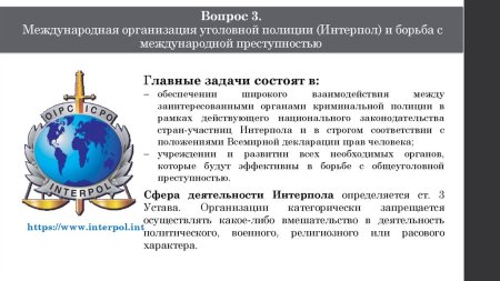 Центральное национальное бюро Интерпола структура