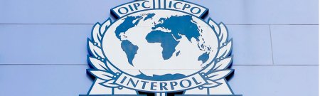 Интерпол страны участники